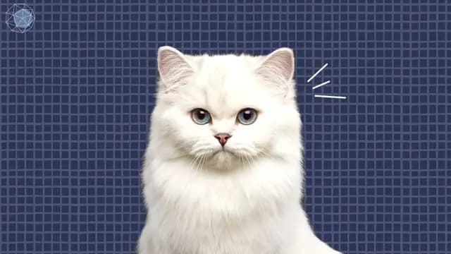 dmfsmfmdm